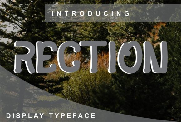 Rection: A Clean, Adaptable Display Font for Every Project
